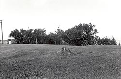 Opana, Oahu, Hawaii, where a radar detected but did not identify incoming aircraft on 12/71941.